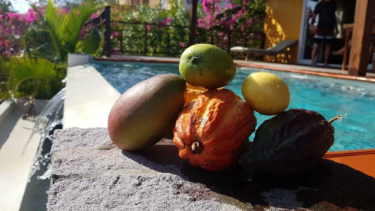 Kaye Mango Villa Soufriere