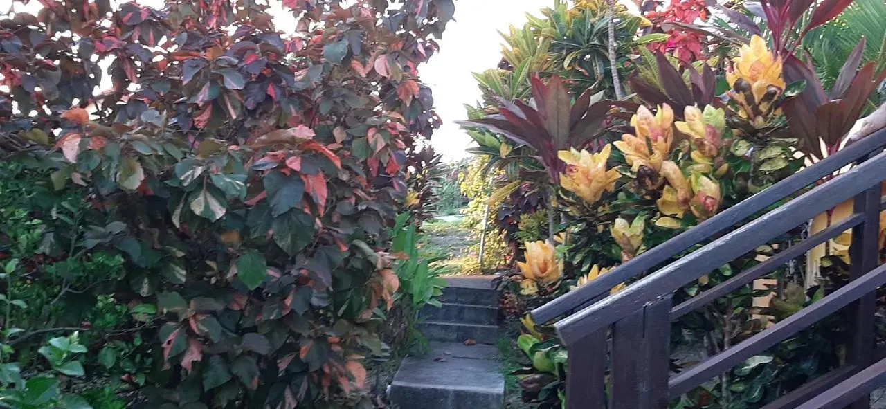 Kaye Mango Villa Soufriere 0*,